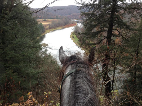Horse riding by Delaware River, Pennsylvania